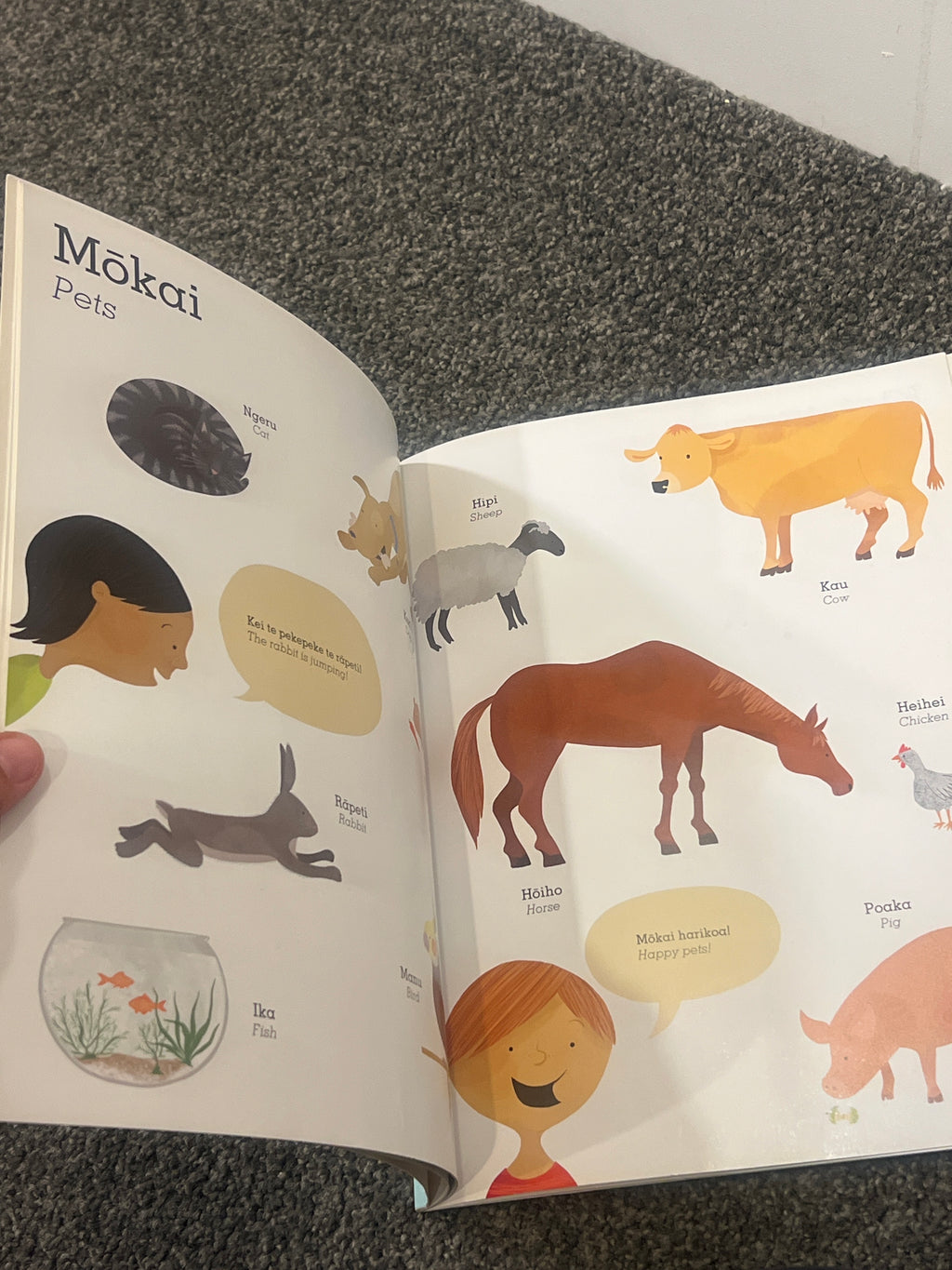 My First Words in Maori by Stacey Morrison
