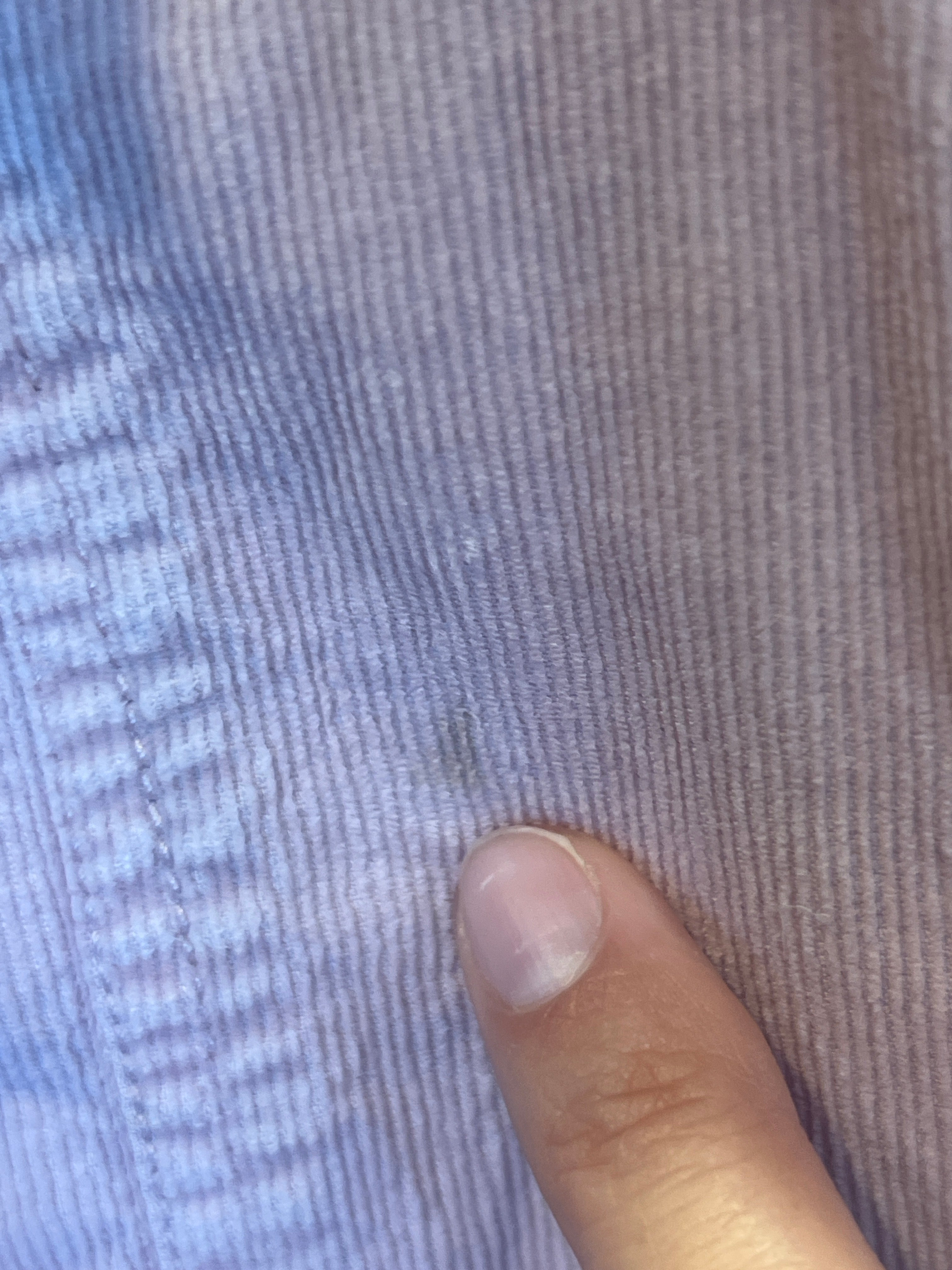 Sprout (6-12m) Cord Overalls