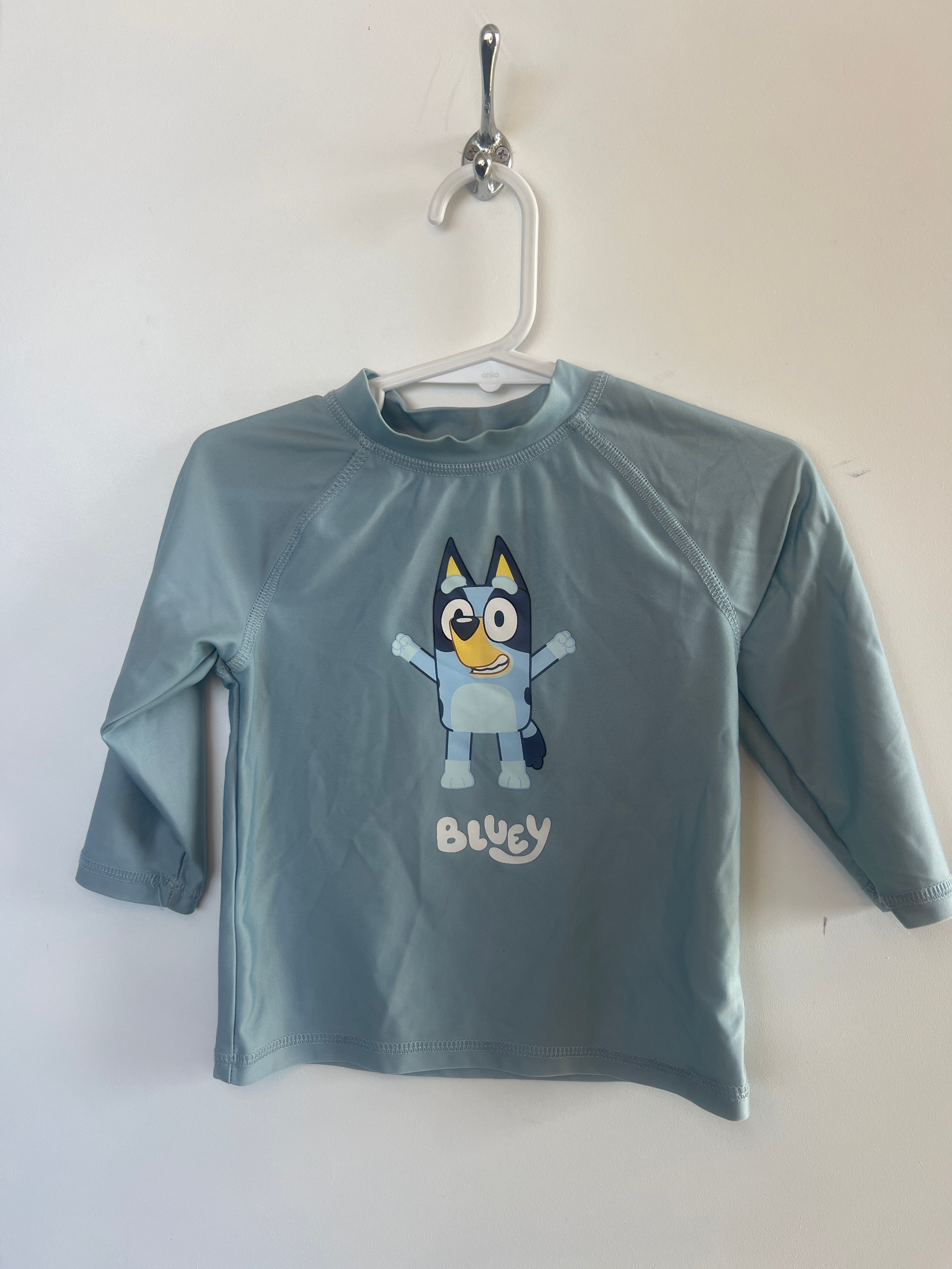 Bluey (1 Year) Rash Top