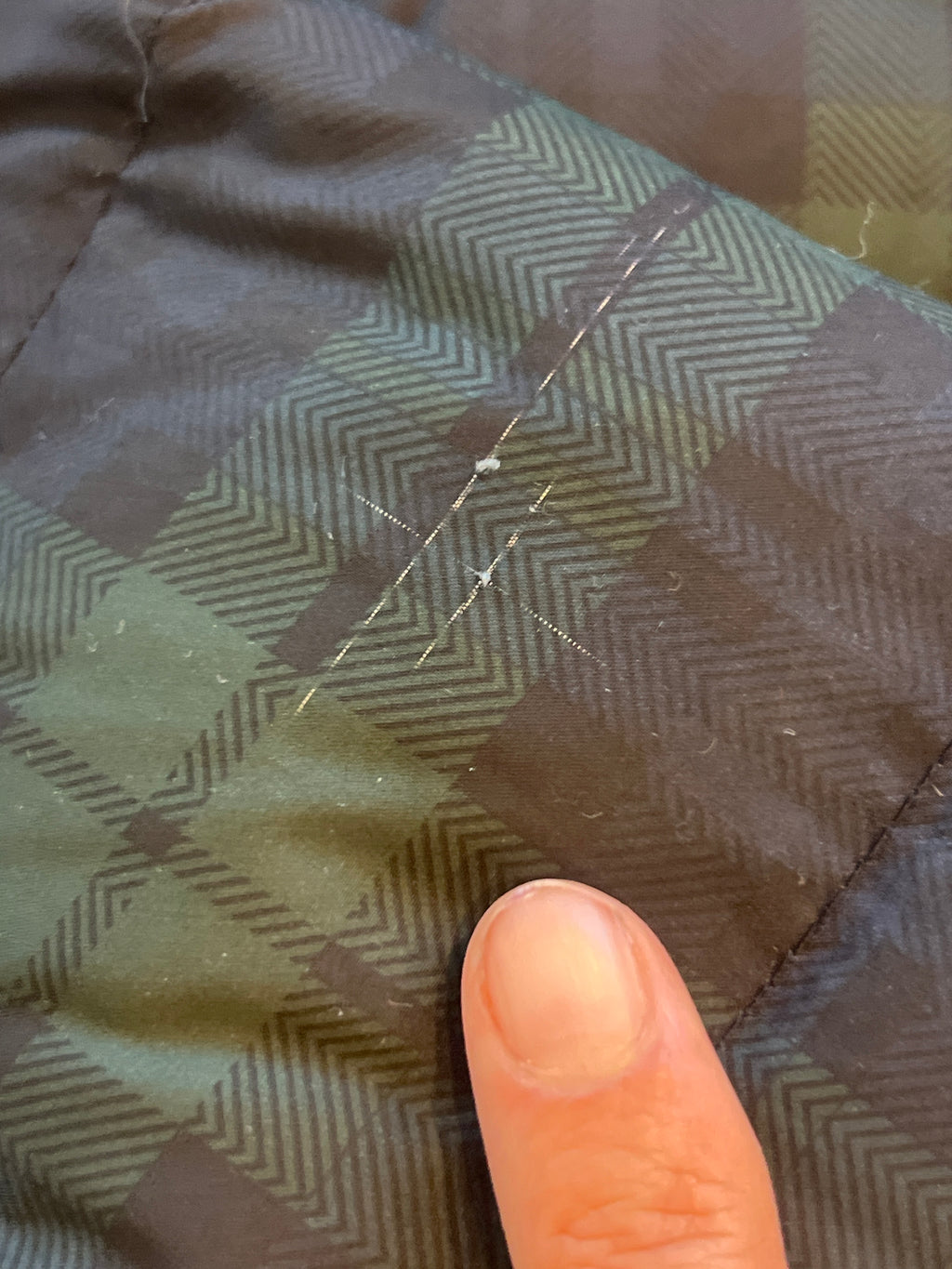 Muji (12 months) Down and feather Filled Jacket. Hood removes.