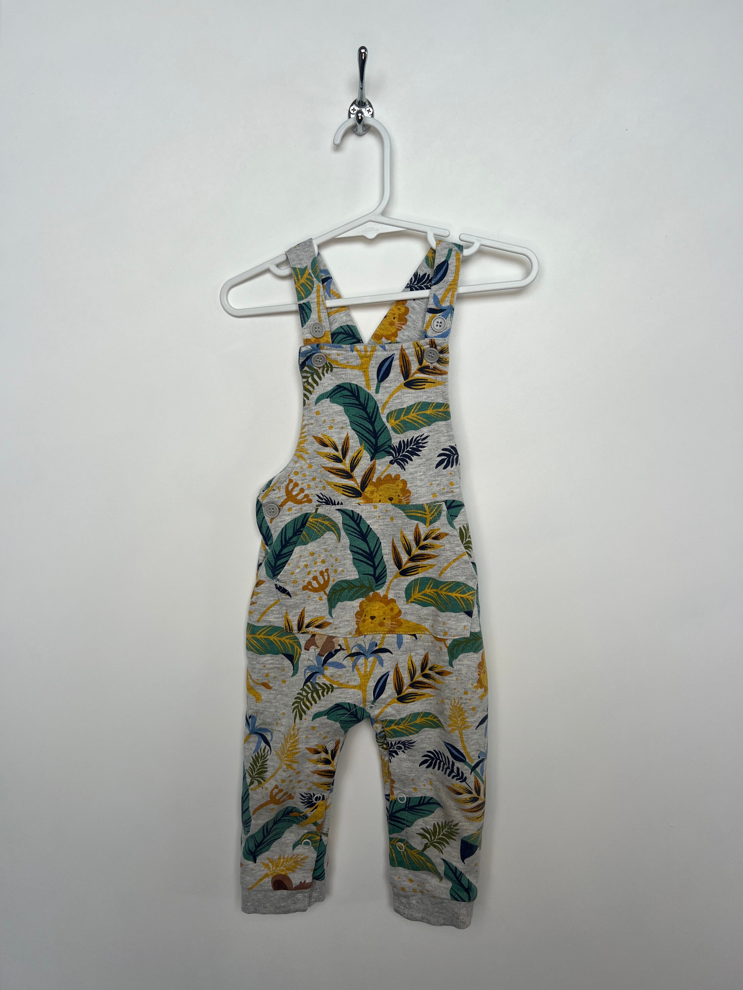 Teeny Weeny (12-18 months) Overalls