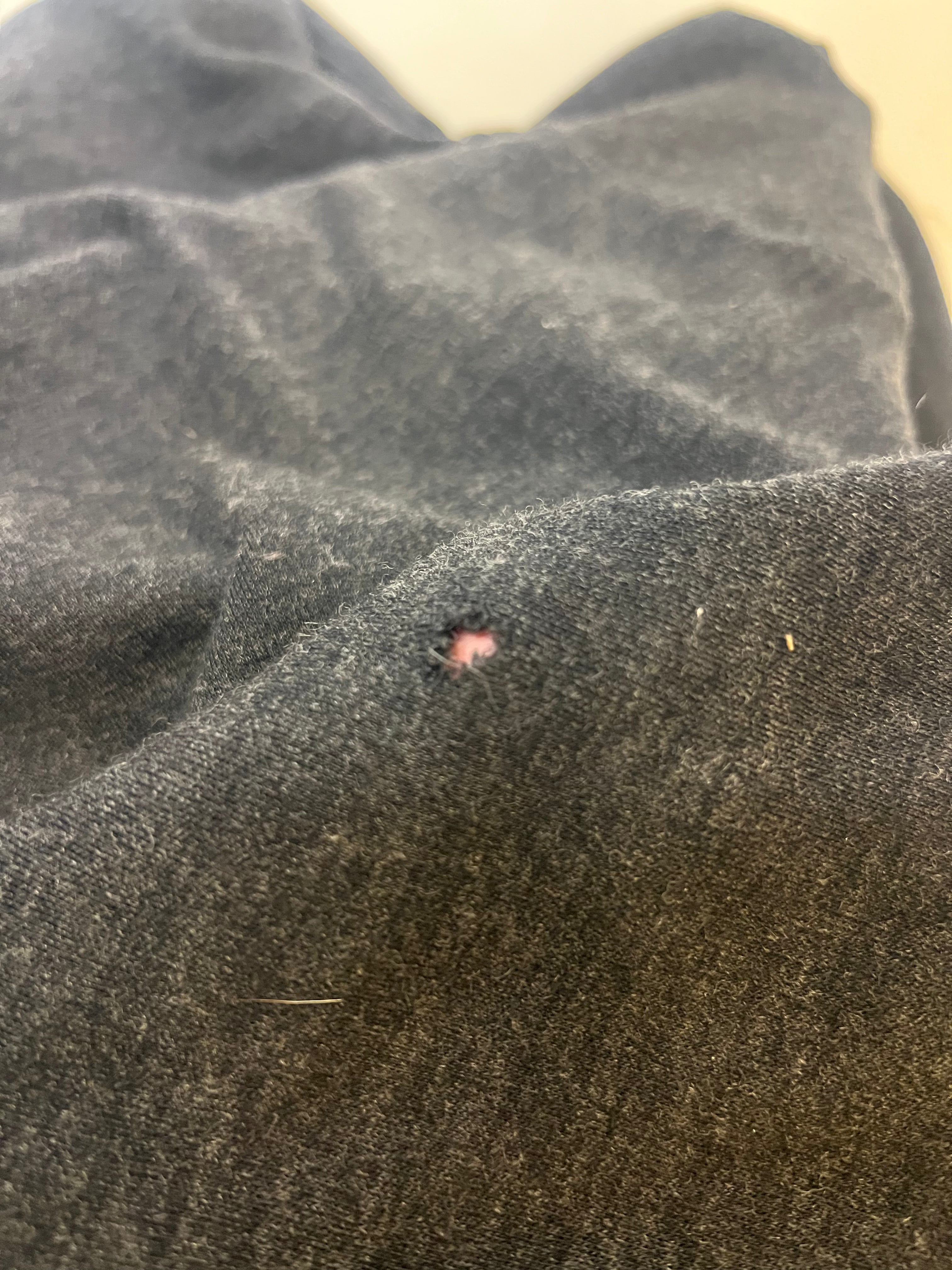 Macpac (8 Years) 100% Merino Hoodie